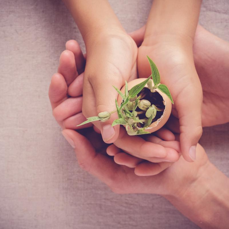 Familienberatung, Elterncoaching, Erziehungsberatung